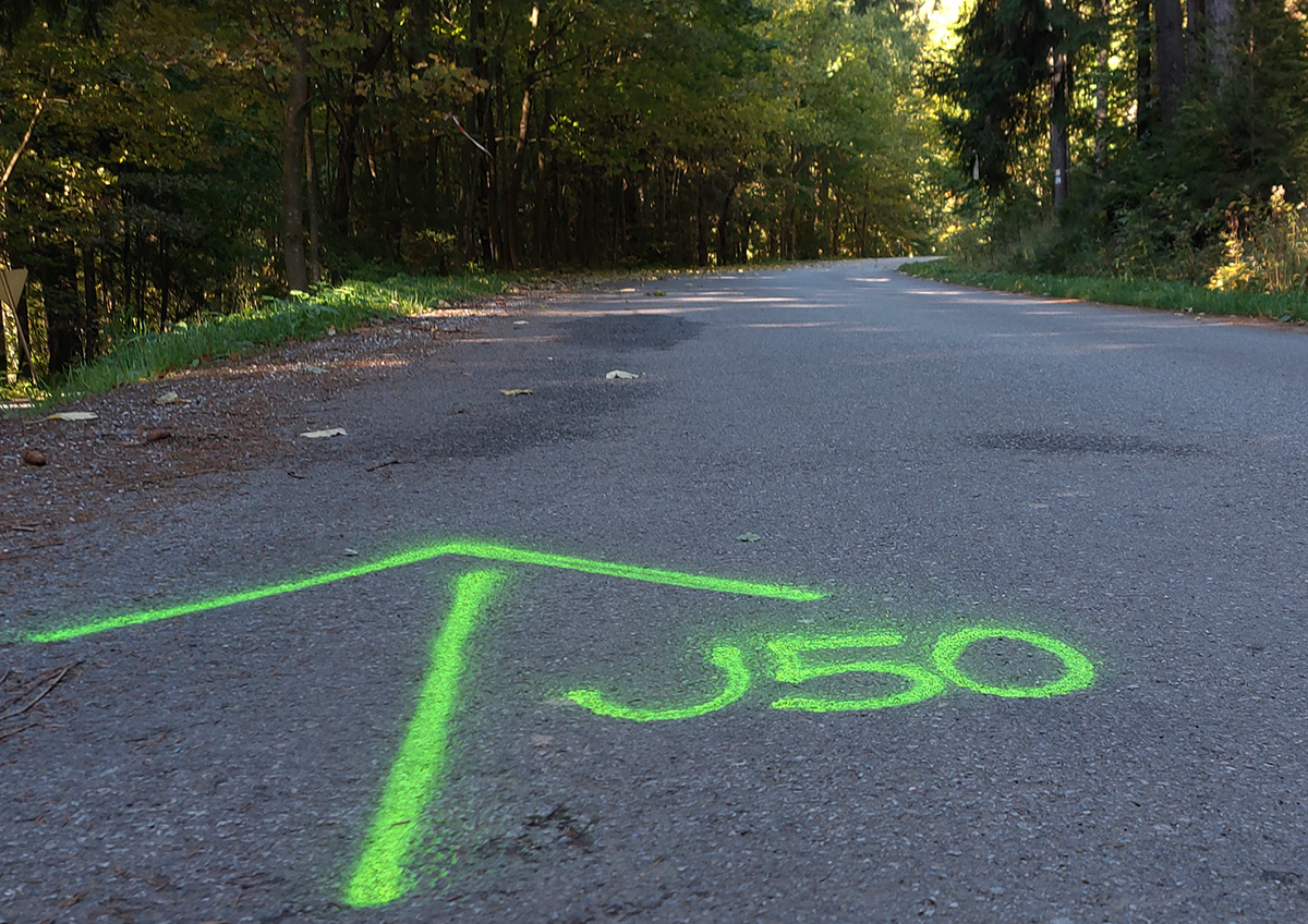 javornicka-patdesiatka-2021