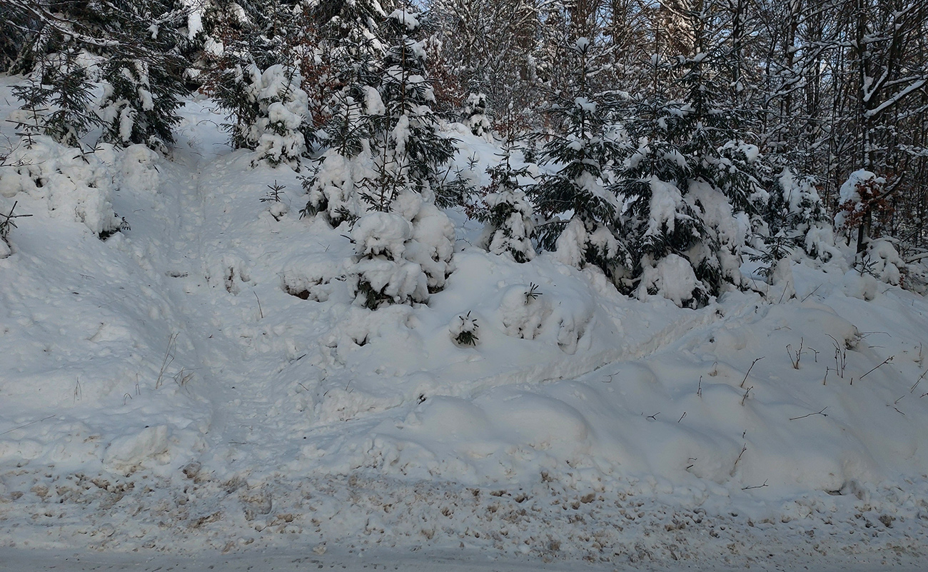 Našťastie_je_tu_stopa_priamo_hore,_aj_na_výber:_rovno_či_cikcak_mladinou.